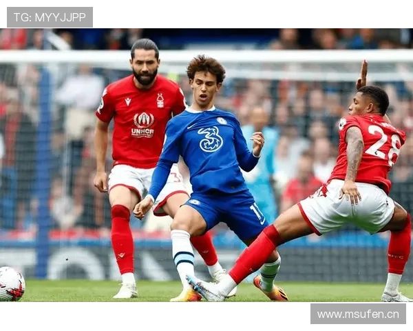 英超王牌对决：核心球员表现稳健，球队竞争力持续提升