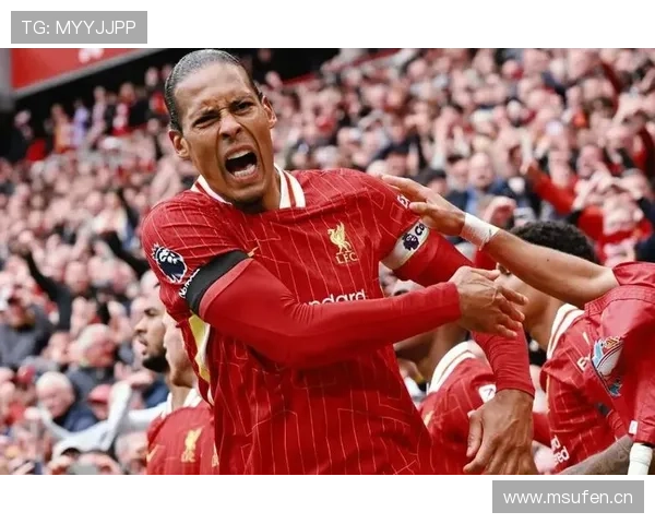 范戴克安菲尔德传奇