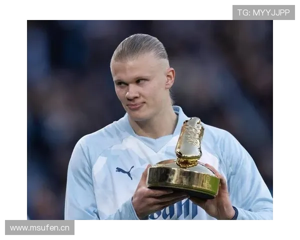 哈兰德是否缺乏个人荣誉? 哈兰德是否缺乏个人荣誉?